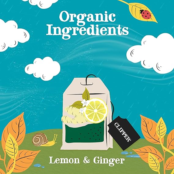 Clipper Lemon & Ginger Tea Bags (250 Pack)