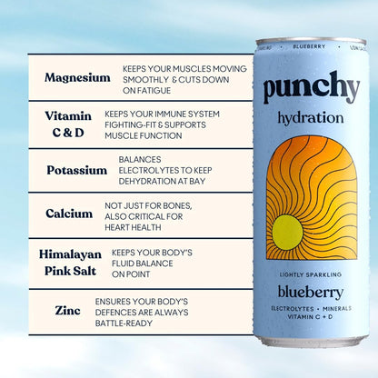 Punchy Blueberry Electrolyte Sparkling Vitamin Drink 12 x 330ml
