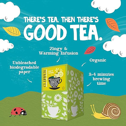 Clipper Lemon & Ginger Tea Bags (250 Pack)