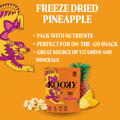 5pk - Freeze Dried Pineapple