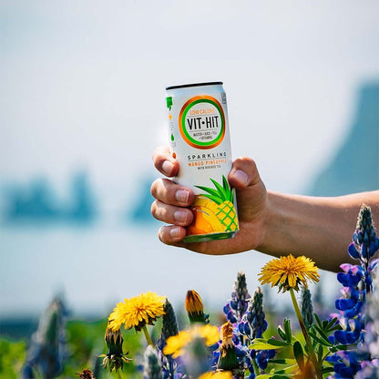 Vit Hit Mango & Pineapple Can 330ml X 12 Pack